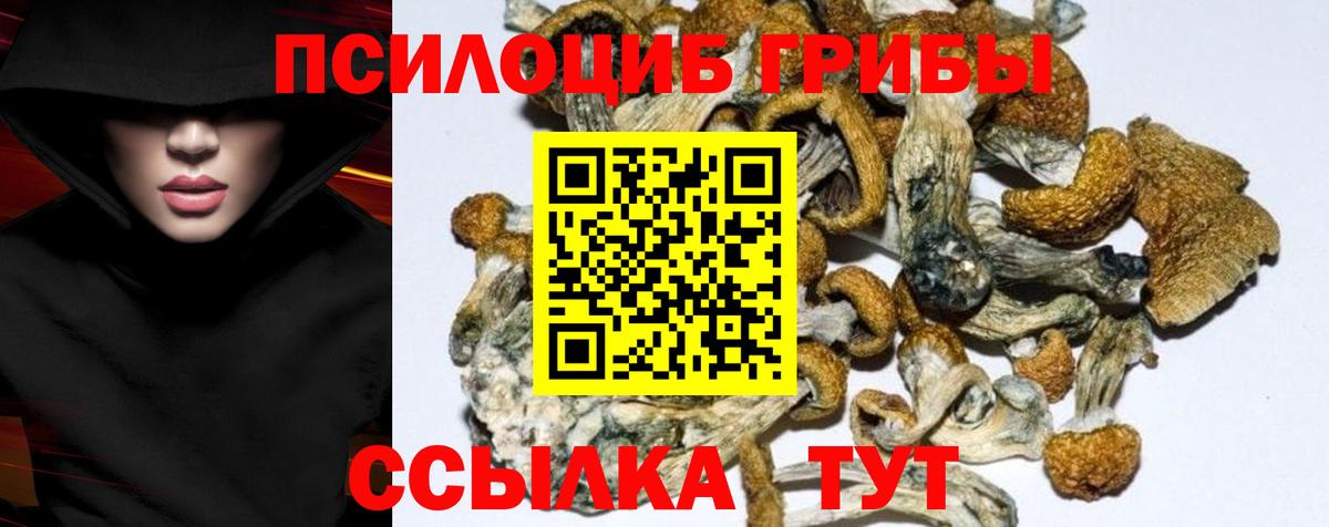 Узловая  Псилоцибиновые грибы GOLDEN TEACHER  Вход с VPN  Псилоцибиновые грибы GOLDEN TEACHER 